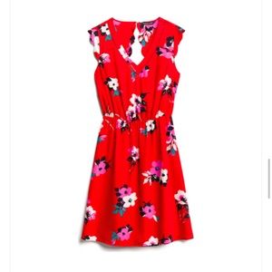 Midnight Scallop Detail Dress